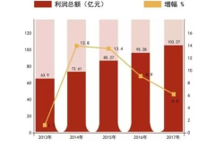 年度利润总额,企业盈利与成本控制的奥秘